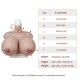 Super-large silicone breast X cup